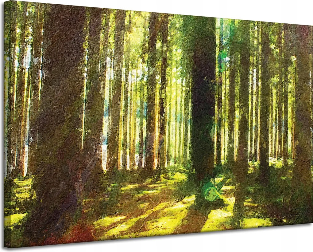 Vászonkép Olajerdő Fák Fény Természet 120x80 cm