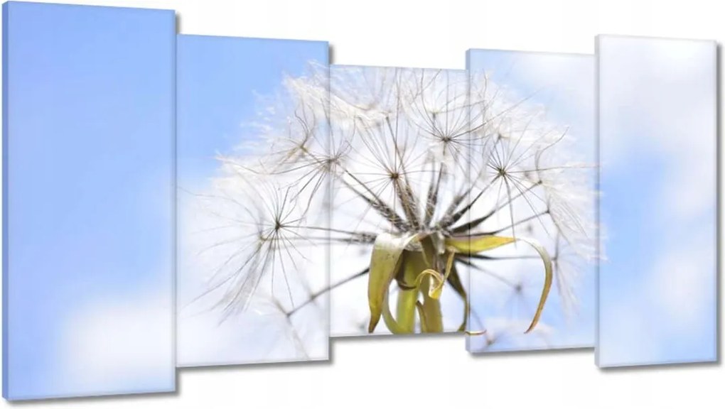 Vászonkép 150x80 Pitypang Virág Virágok