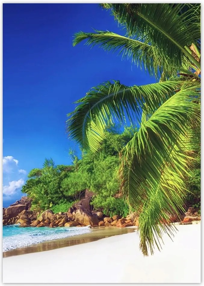 Poszterek A4 Pion Trópusok Tájkép Pálmafák