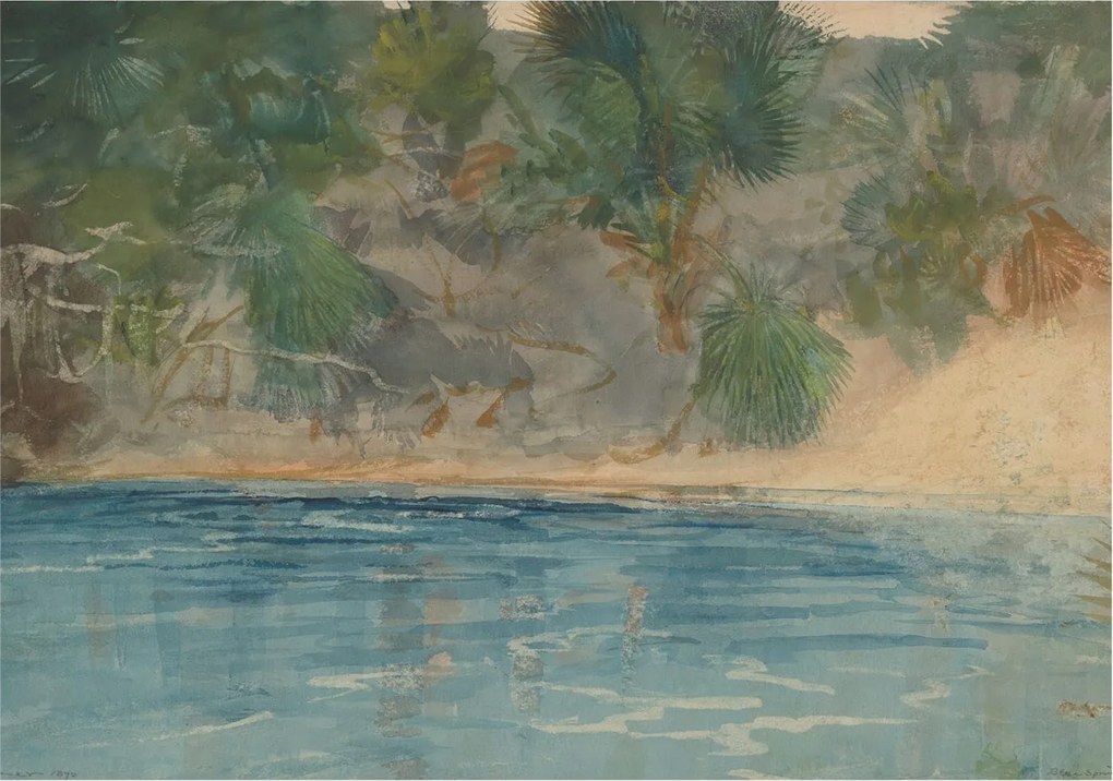 Divatos Flizelin Tapéta Fali Furnér Trópusi szegély 208x146 Ragasztó