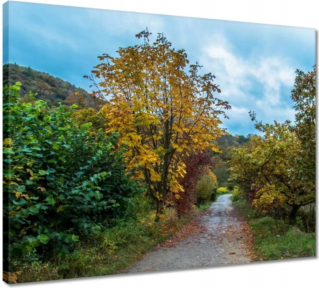 Vászonkép 50x40 Őszi fák