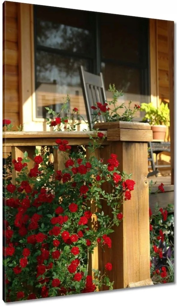 Festmények 80x120 Fa veranda