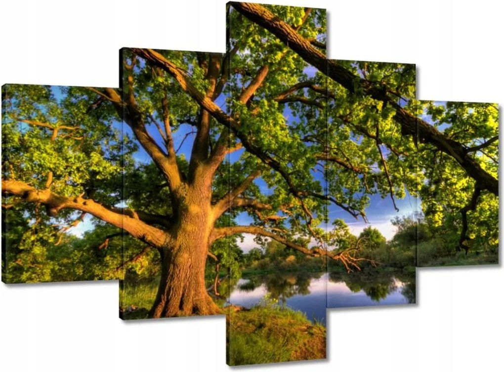 Vászonkép 100x70 Tölgy a croissant-ban Nyugat