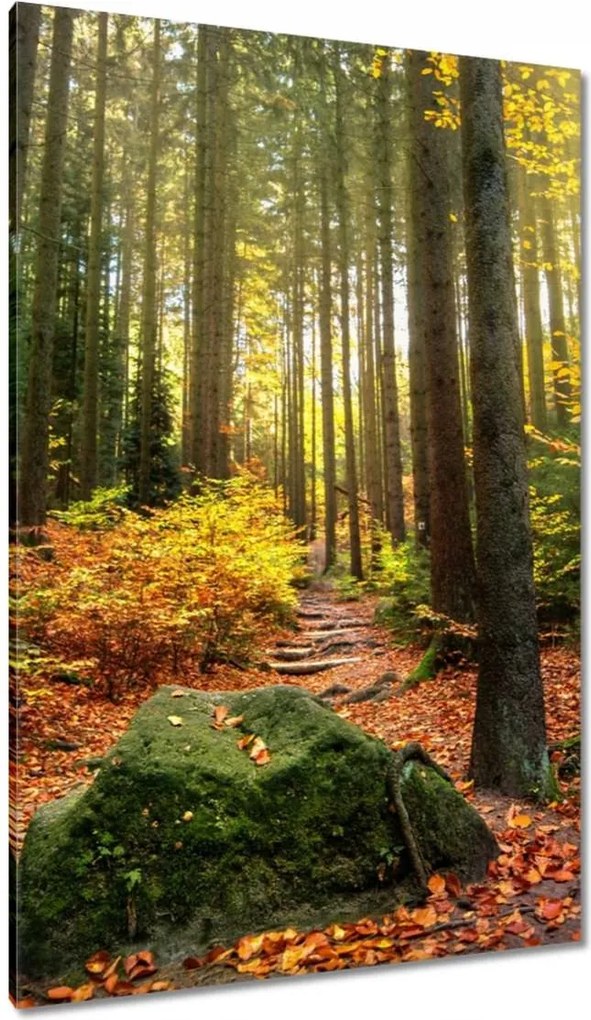 Festmények 80x120 Tájkép