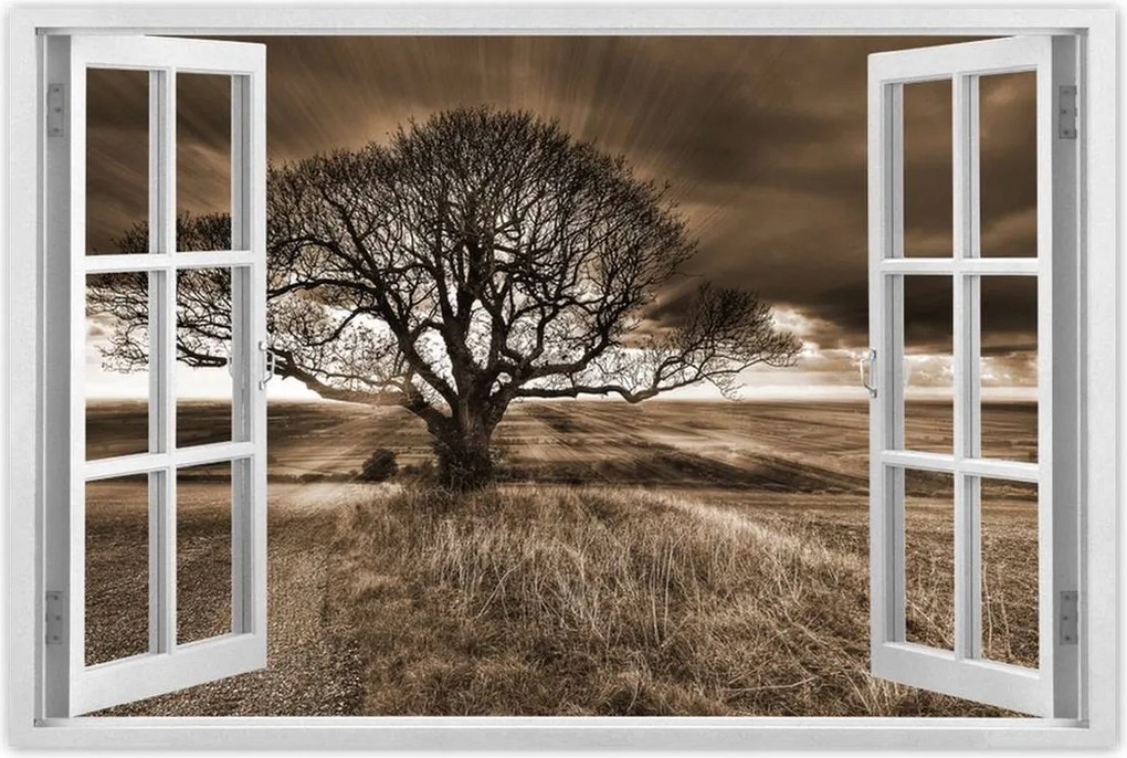 Poszterek 90x60 Tájkép varázslattal