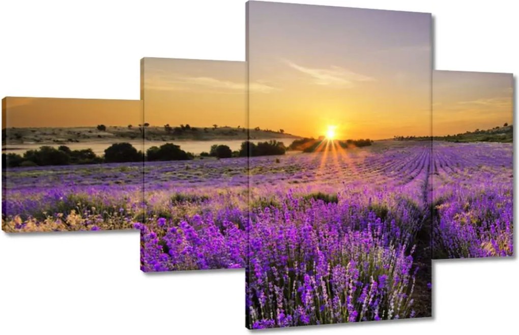 Vászonkép 130x80 Levendula tájkép Nap