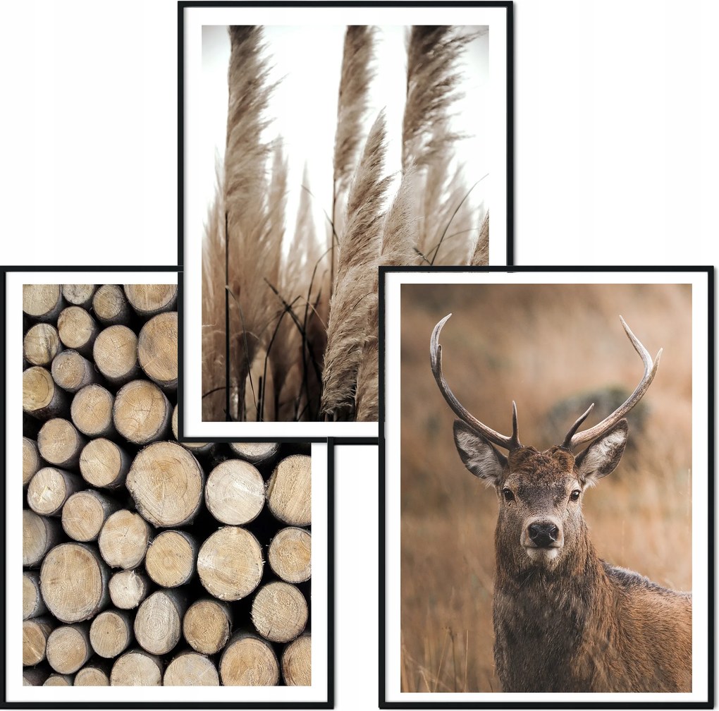 Poszter szett 3db 50x70cm B2 ősz bézs barna természet eviero pampas