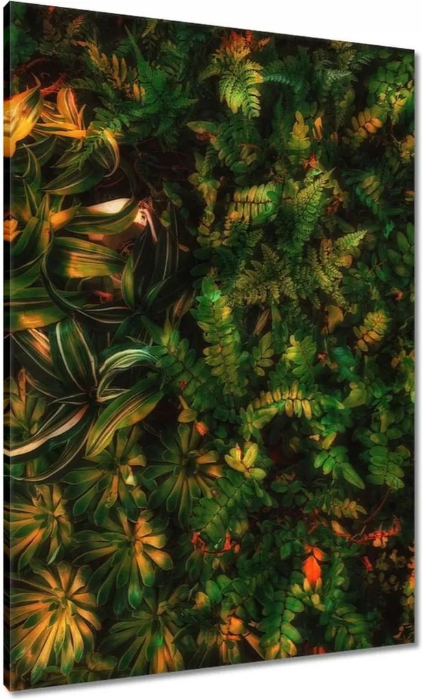 Vászonkép 70x100 Trópusi levelek Levelek