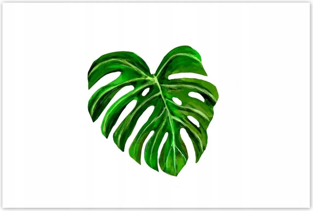 Poszterek 120x80 Monsera levél lyukas