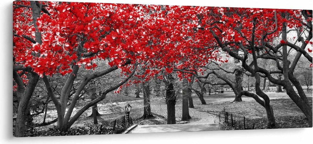 Kép - vörös fák,Central Park, New York (120x50 cm)
