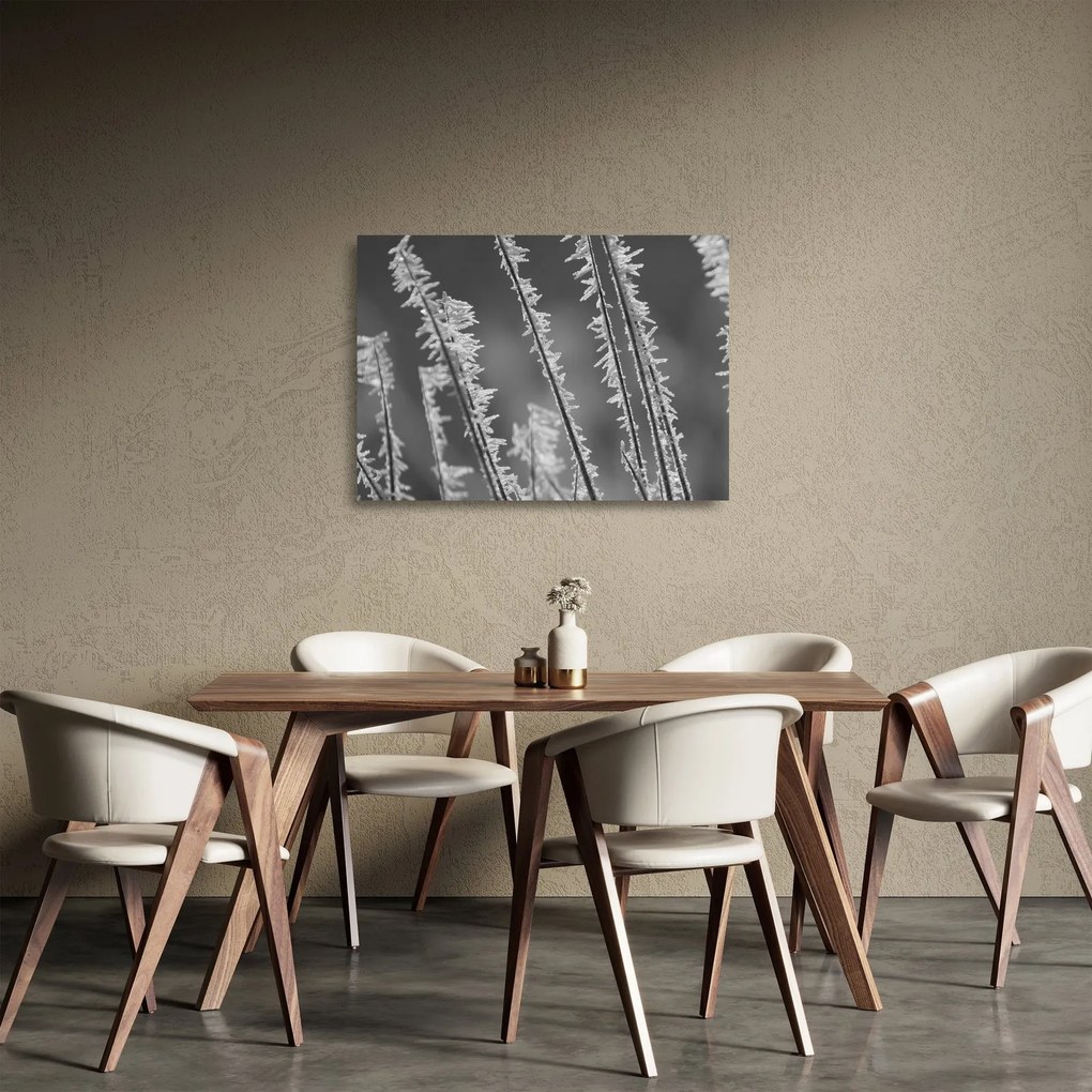 Üveg kép - Fagyos hideg (70x50 cm)