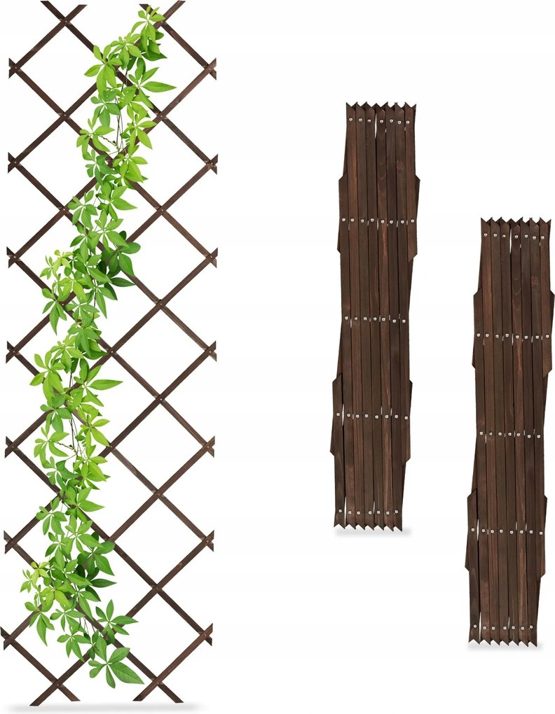 Kerti Rács Kúszónövényekhez Fa Tréning 3 db 180x60 cm
