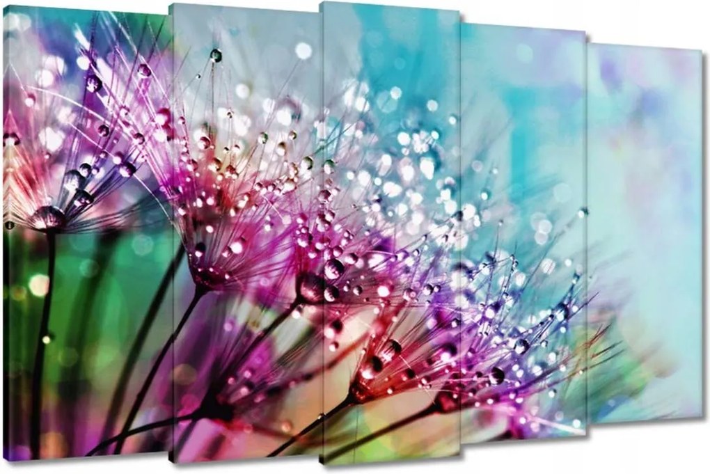 Képek 150x95 Harmatcseppek Pitypang