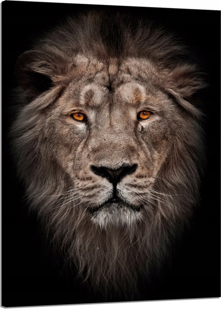 Vászonkép Oroszlán arca Vörös szemek Vadság 50x70 cm