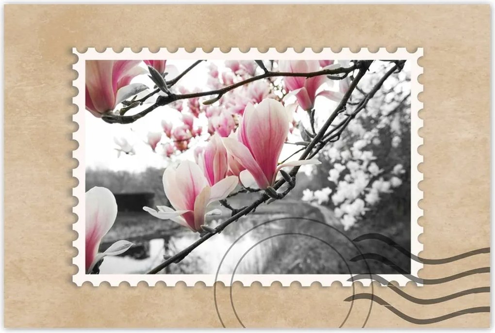 Poszterek 120x80 Magnólia Virágok