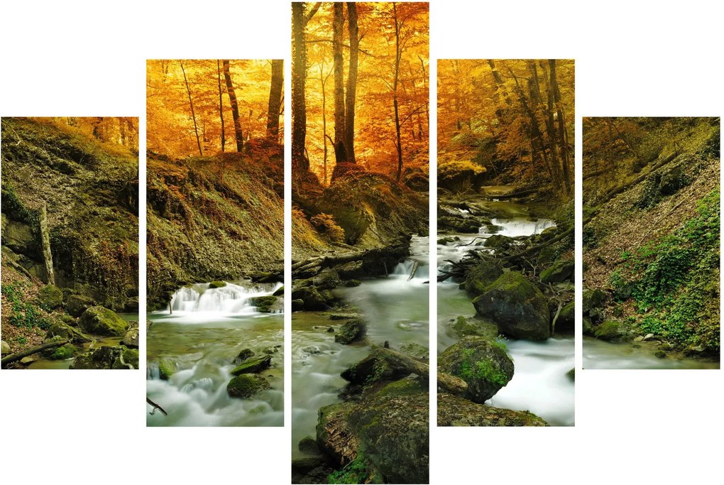 Kép - Erdő (150x105 cm)