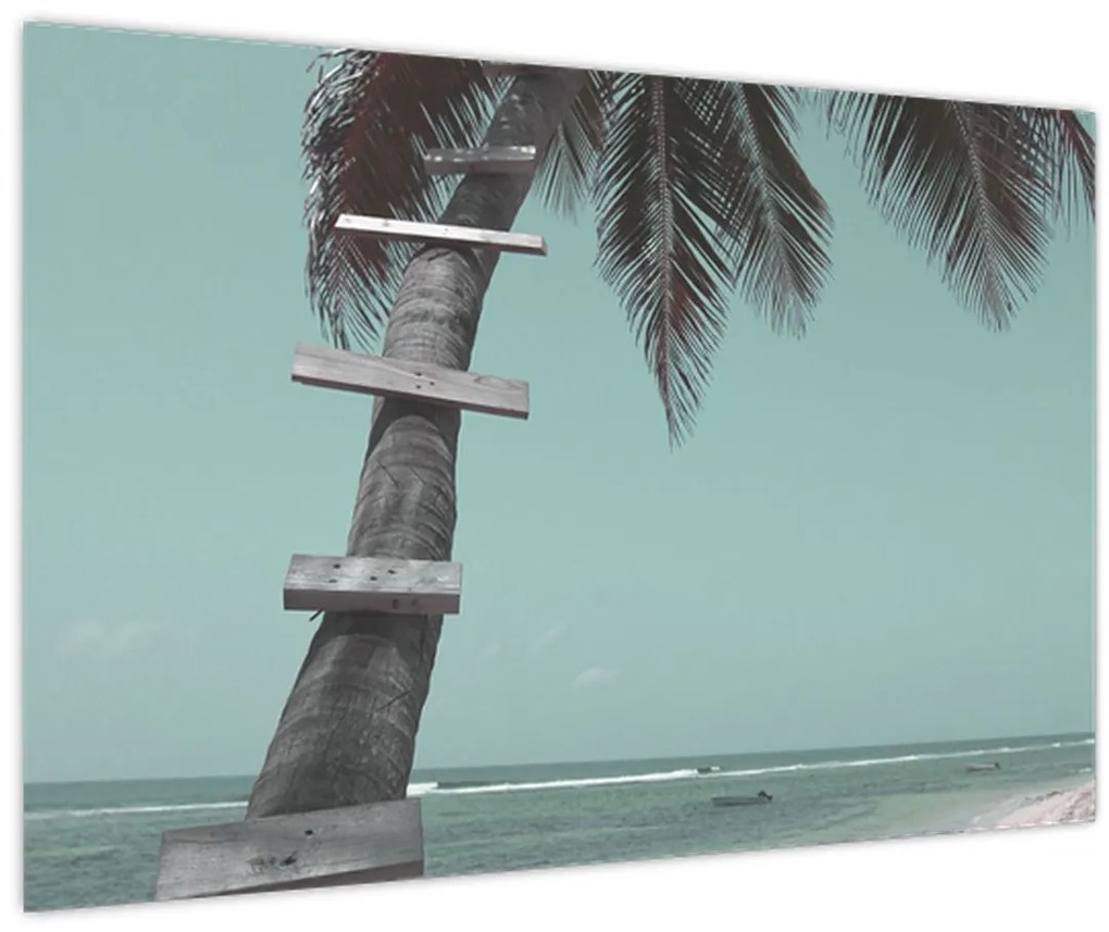 Kép - Palma a Karib-tengeren (90x60 cm)