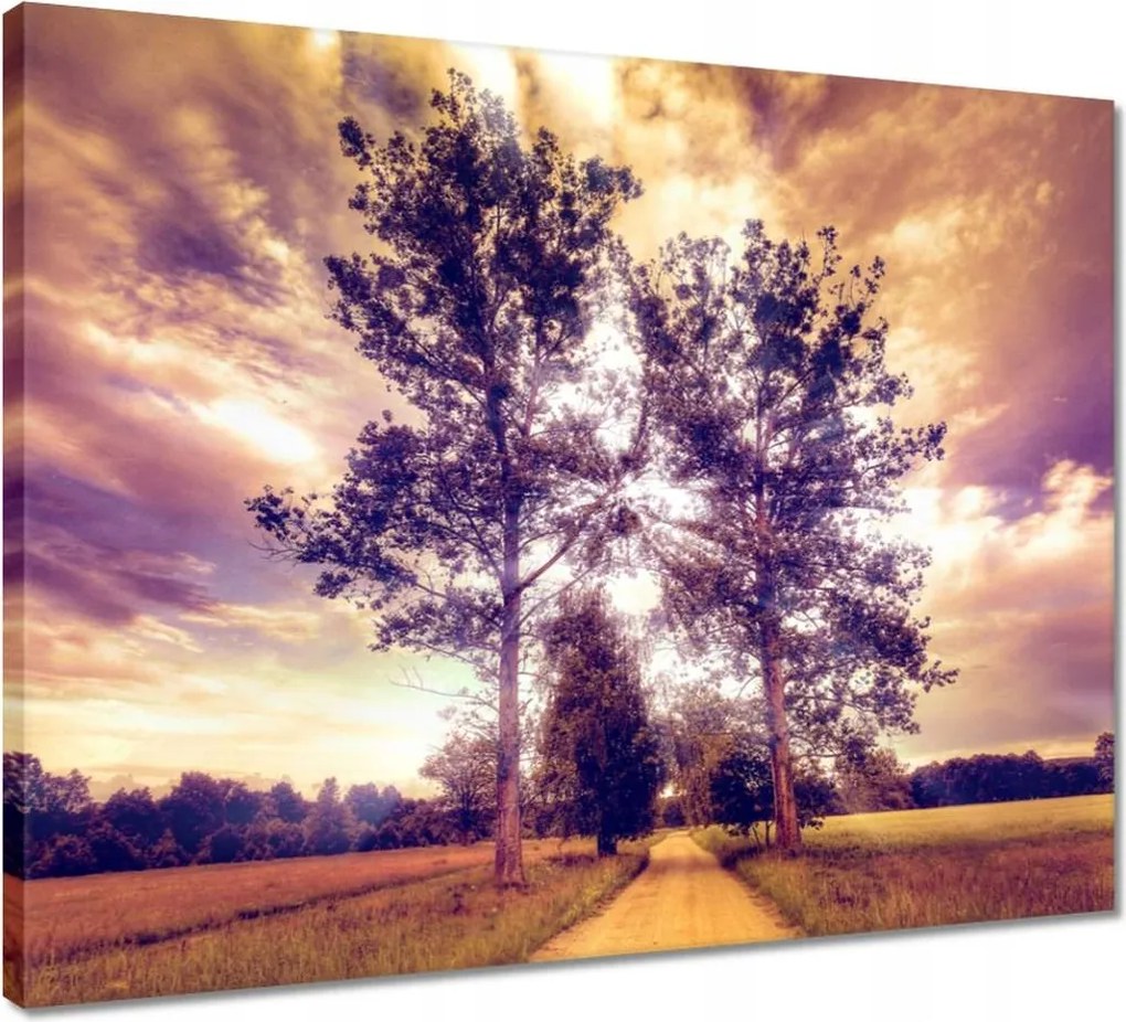 Vászonkép 50x40 Fák az út mellett