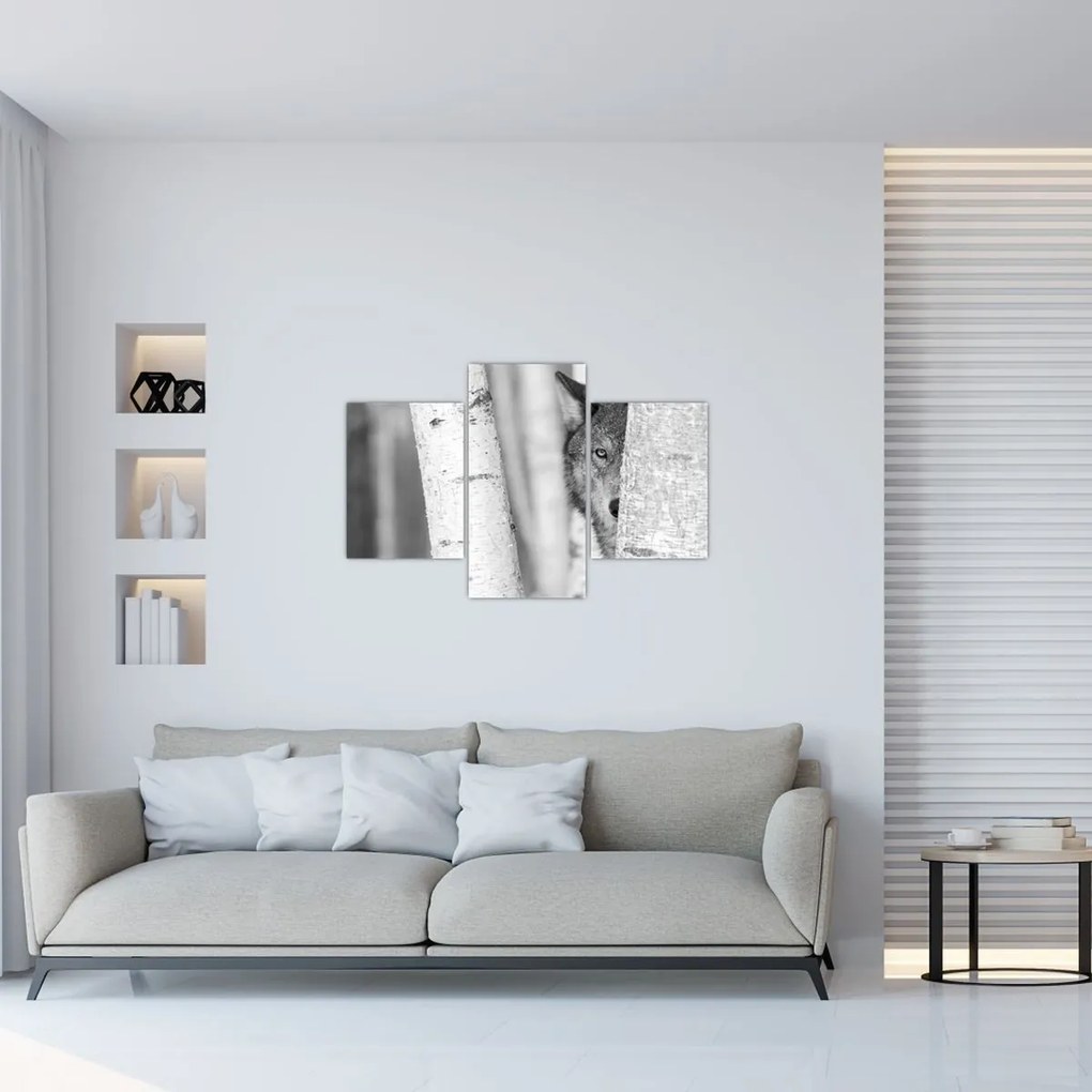 Kép - Farkas az erdőben (90x60 cm)