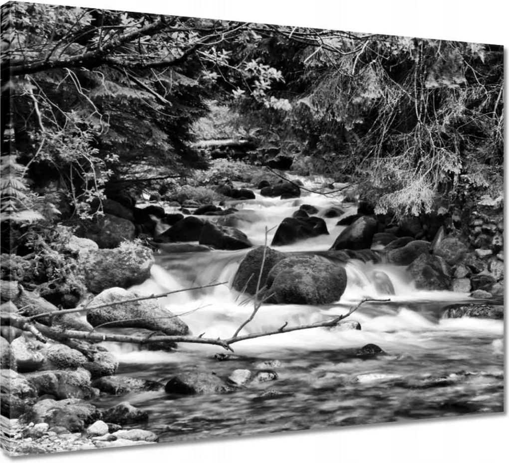 Vászonkép 50x40 Tátra Lengyel hegyek Kilátás