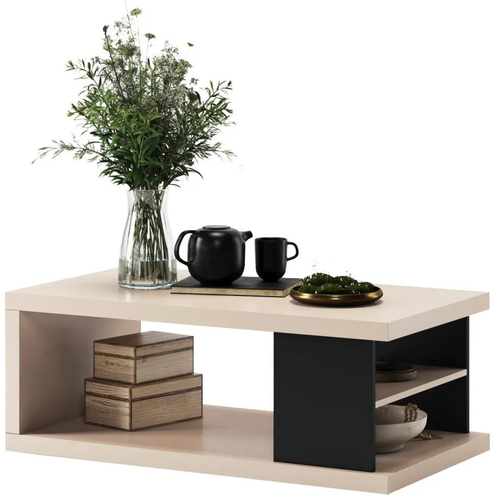 LORA dohányzóasztal polccal és tárolóval, bézs/fekete