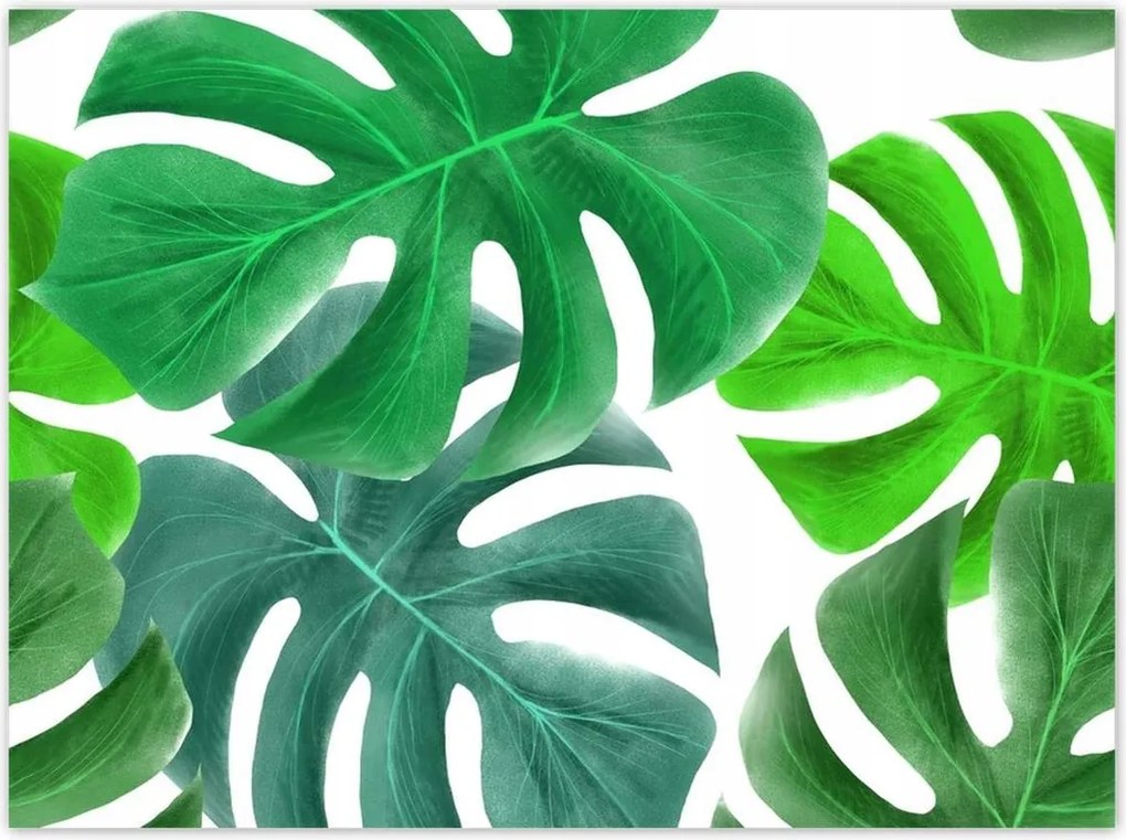 Poszterek 135x100 Levelek Monstery Trópusok