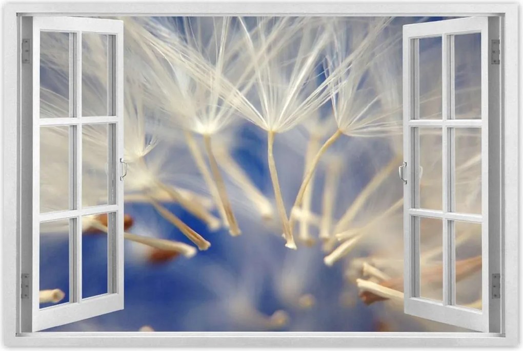 Poszterek 90x60 Pitypang Virág Virágok