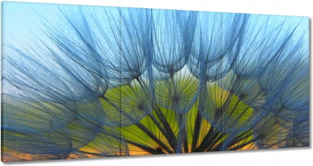 Vászonkép 120x60 Pitypang Virág Virágok