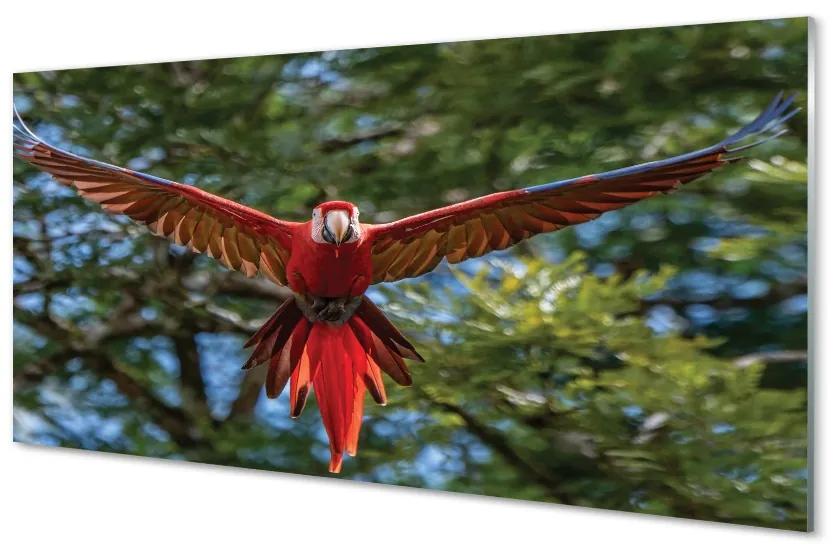 Üvegképek Ara papagáj 140x70 cm