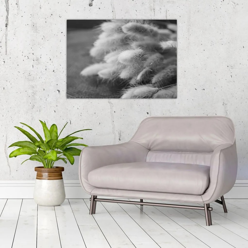 Kép - nyúlfarknyi fű az asztalon (70x50 cm)