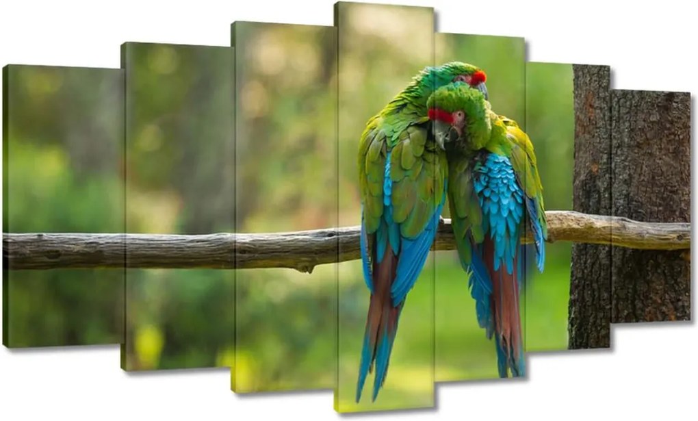 Vászonkép 140x80 Papagájok Madarak