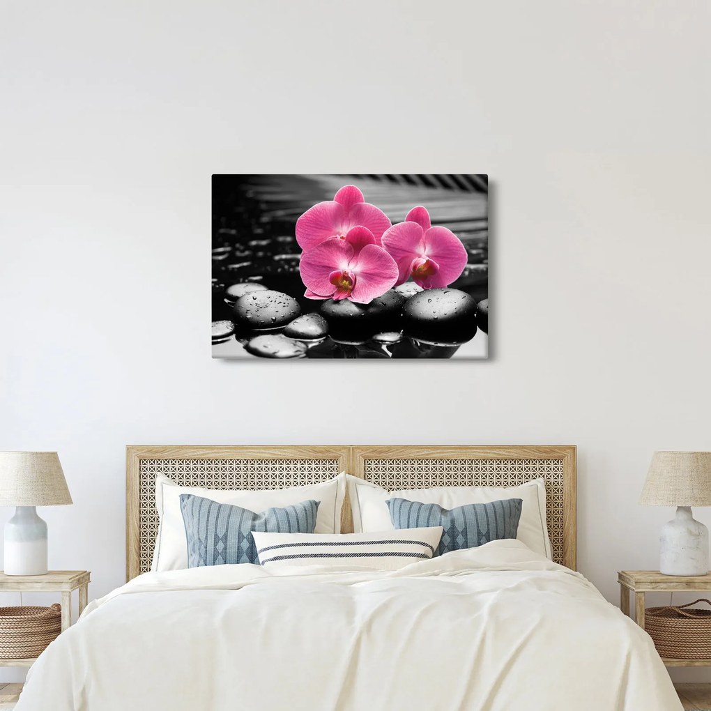 Kép - Rózsaszín orchideák (90x60 cm)