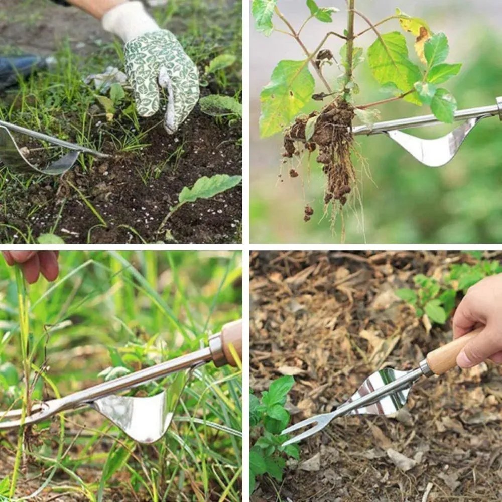 Zaparkorun Gyomkiszedő