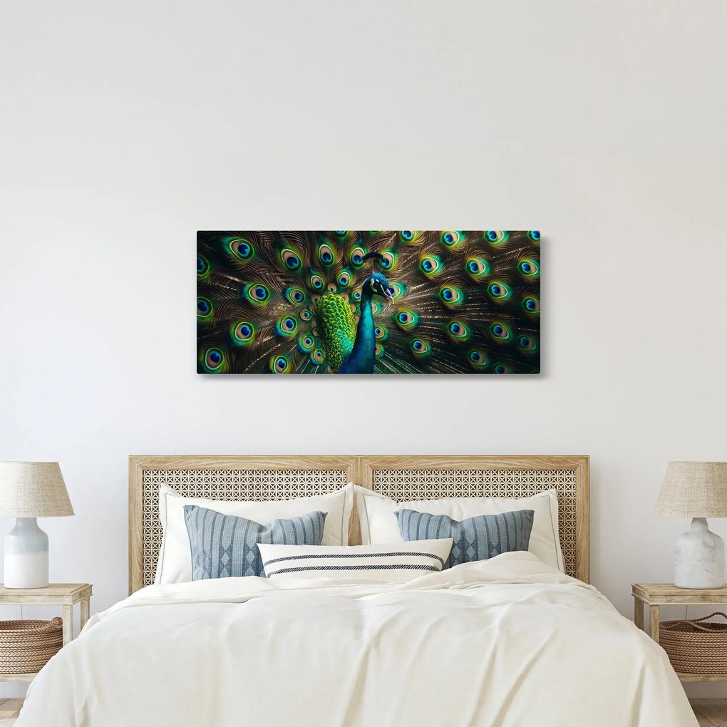Kép – Pávatoll (120x50 cm)