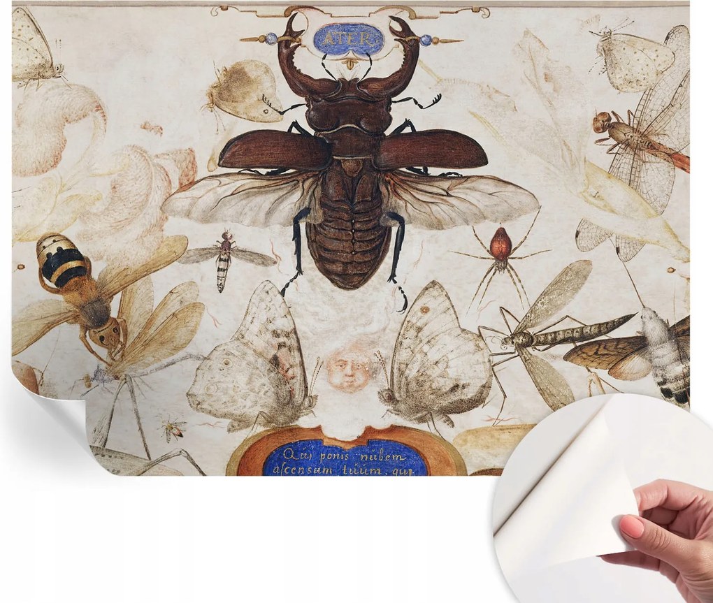 Öntapadós fotótapéta Falra 3D Loft Természetes harmónia 312x219 cm