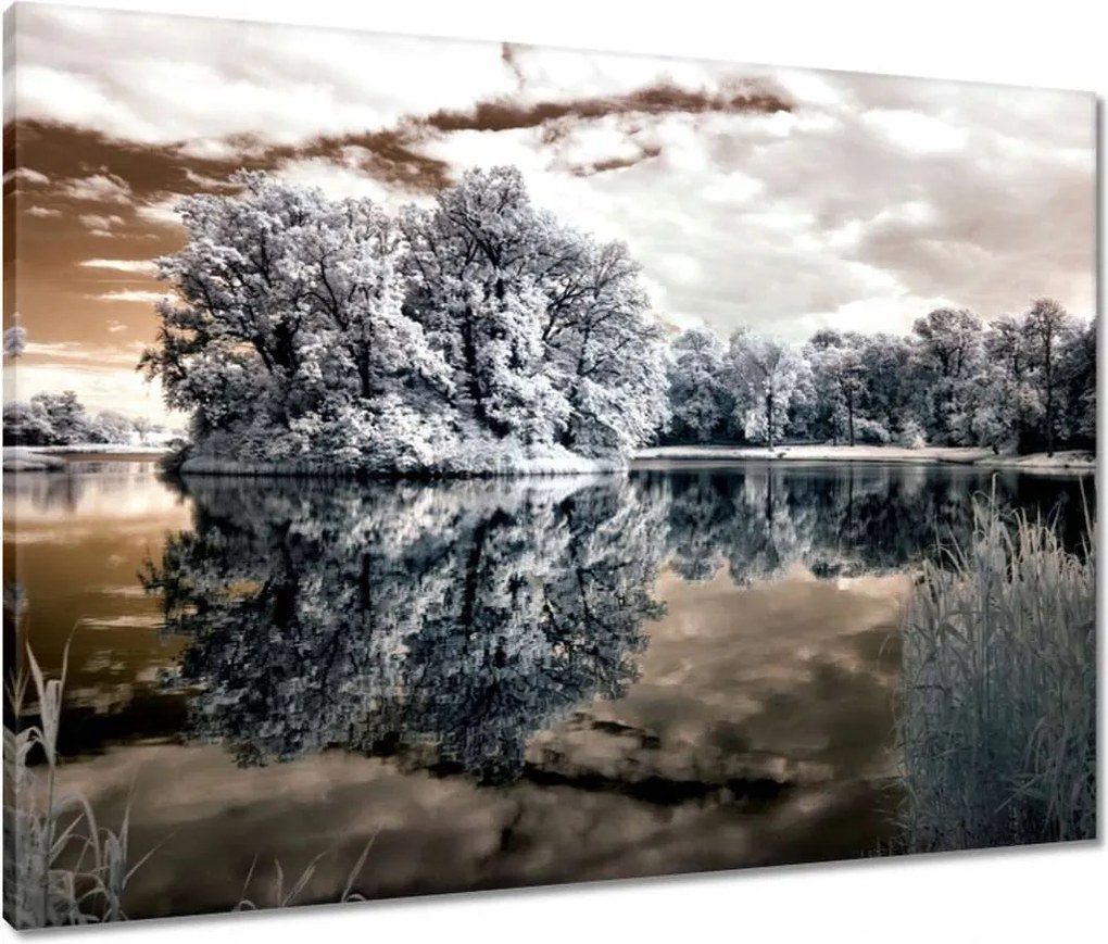 Vászonkép 80x60 Sziget a tavon