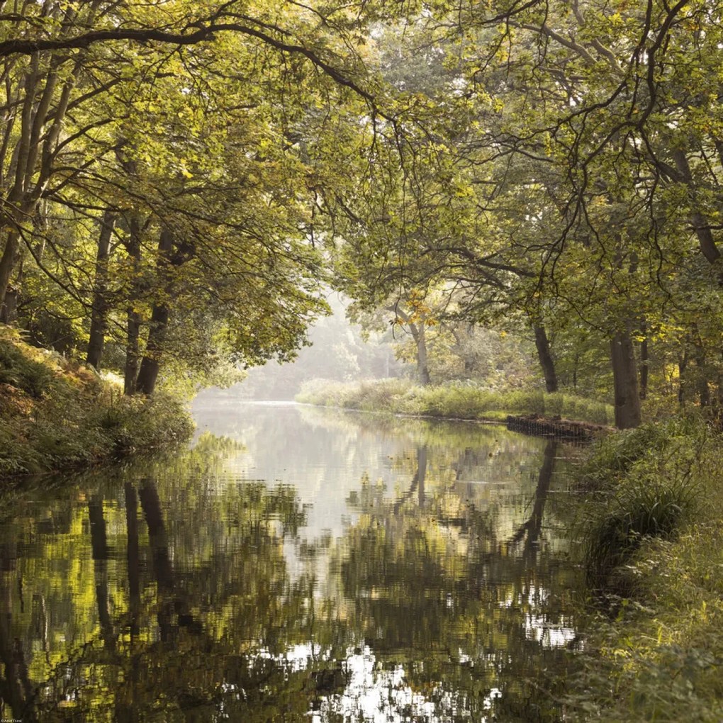 Poszter 60x60cm Basingstoke csatorna 2, Assaf Frank