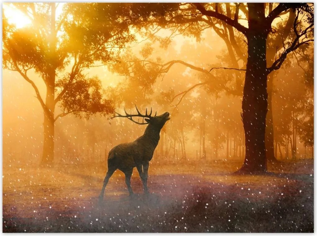 Poszterek 135x100 Szarvas az erdőben