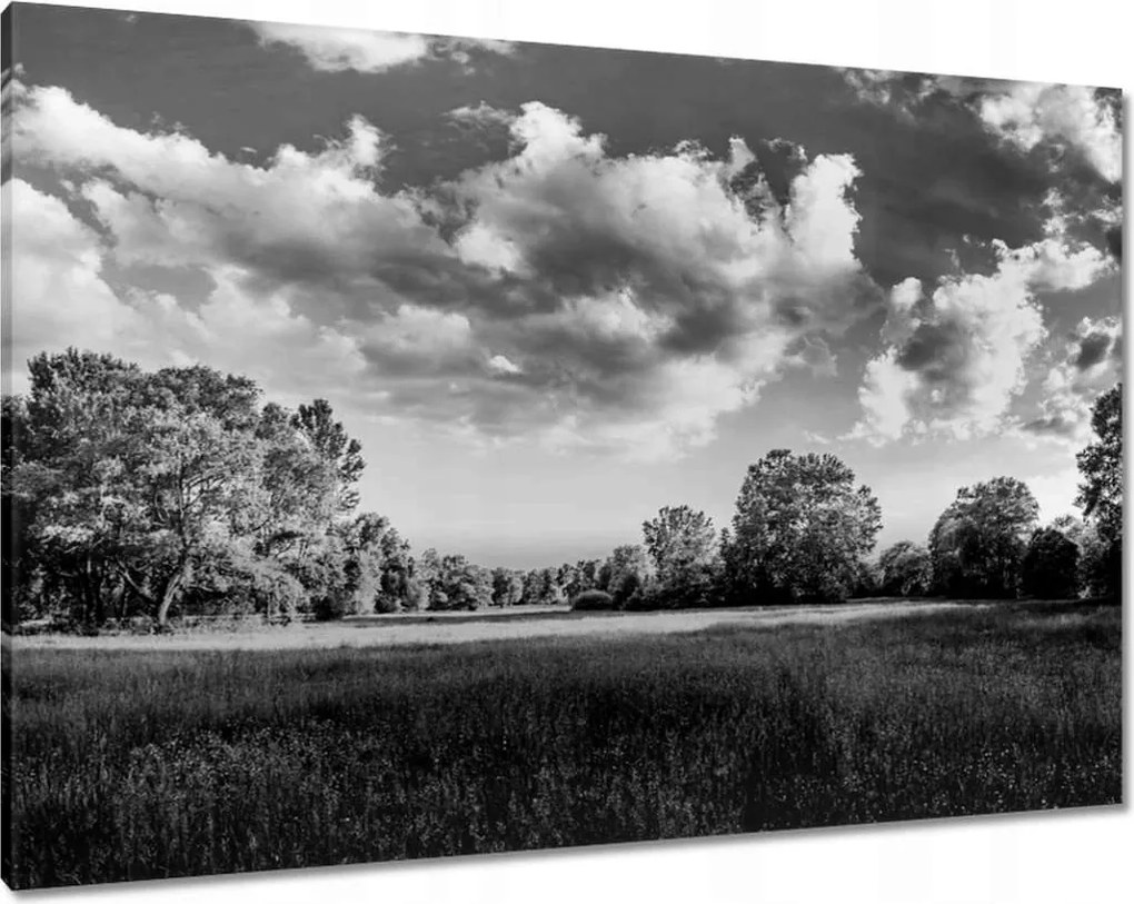 Vászonkép 100x70 Vidéki réti táj