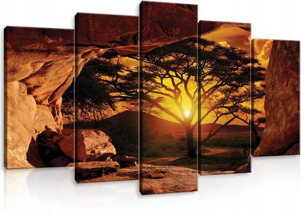 Vászonkép 100x60 Afrika szavanna naplemente fák sziklák természet táj