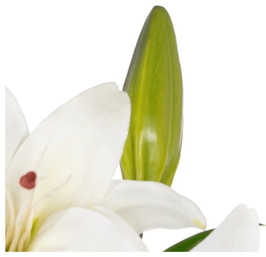 Művirág (magasság 59 cm) Lily – Ixia