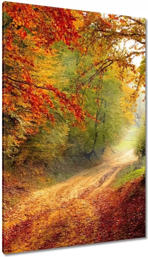 Vászonkép 80x120 Út az erdőben ősz
