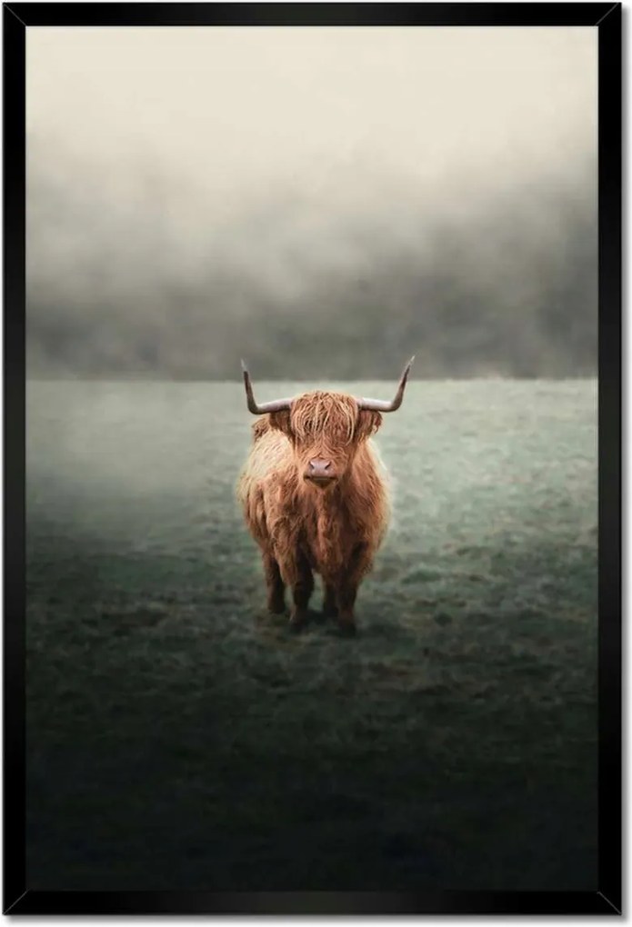 Poszterek keretben 40x60 Mint a szarvak Hegyi rét