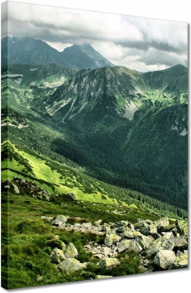 Vászonkép 30x40 Tátra Lengyel hegyek Kilátás