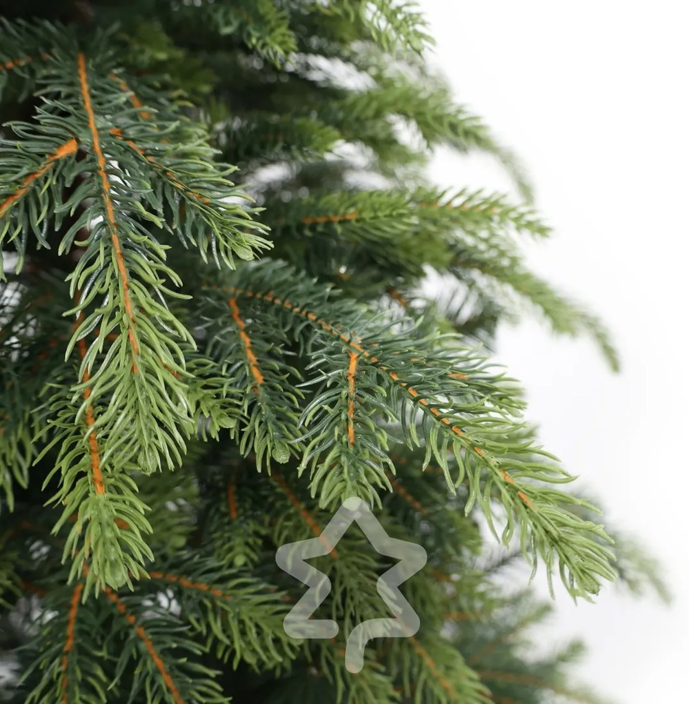 Natura lucfenyő 3D 180 cm