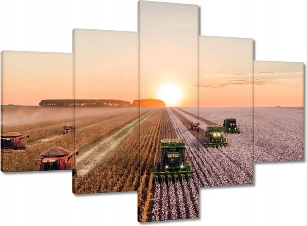 Vászonkép 100x70 Aratás Mezőgazdaság Kombájn