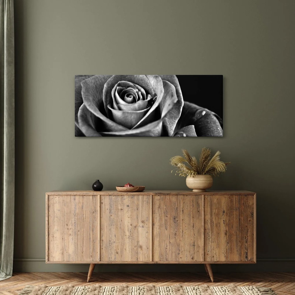 Kép - Rózsa, fekete-fehér (120x50 cm)