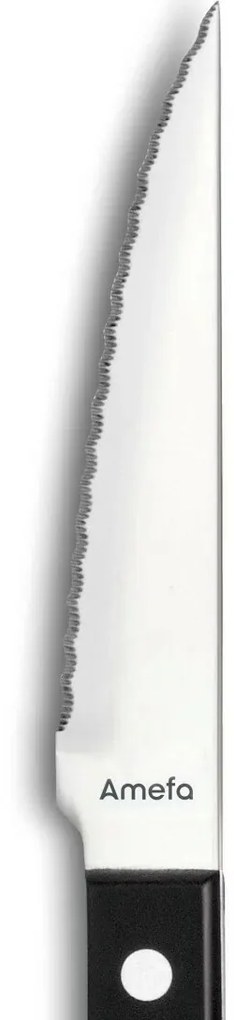 Amefa 6 darabos steak kés szett Pizza