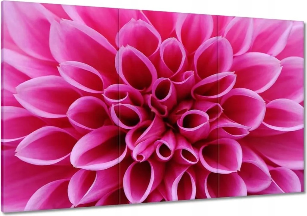 Festmények 120x80 Liliom