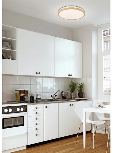 LED Mennyezeti lámpa GANDAVA LED/24W/230V